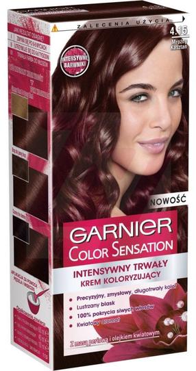 Plaukų dažai Garnier Color Sensation, 4.15 icy chestnut, 4.15, 110 ml
