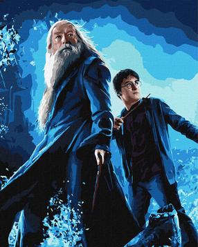 Glezna pēc numuriem Ideyka Harry Potter Harry And Dumbledore, zila krās.