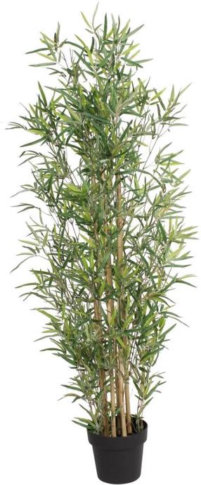 Dirbtinis augalas vazone, bambukas Splendid, žalia sp., 150 cm