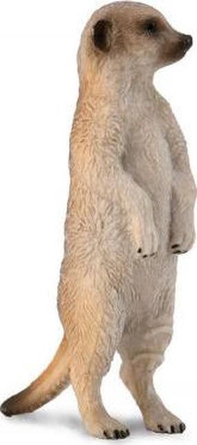 Rotaļlietu figūriņa Collecta Meerkat 88913, 2 cm, brūna krās.