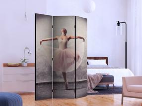 Širma Artgeist Classical Dance - Poetry Without Words Paraventtc0738, įvairių spalvų, 135 cm x 172 cm