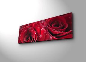 Reproduktsioon Wallity 3090DACT-9, 30 cm