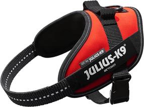 Petnešos šunims Beeztees Power, raudona sp., 960 - 1380 mm x 40 mm, XXXL