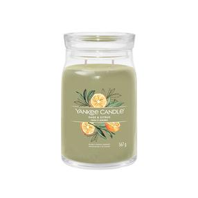 Svece, aromātiskā Yankee Candle Signature Sage & Citrus, 60 - 90 h, 567 g, zaļa krās.