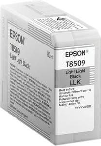 Spausdintuvo kasetė Epson T850900, pilka sp.