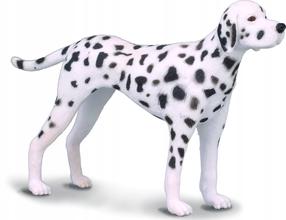 Žaislinė figūrėlė Collecta Dalmatian 88072, 8 cm, balta sp./juoda sp.
