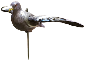 Sodo dekoracija "Paukštis" Besk Garden Bird 4750959113097, 12 cm x 17 cm x 85 cm, ruda sp./pilka sp.