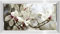 Foto paveikslas Magnolias, 113 cm x 63 cm