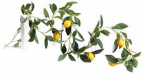Dirbtinė šakelė, citrinmedis Homla Citrus, geltona sp./žalia sp., 180 cm
