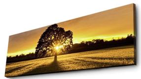 Sienas dekors Wallity 3090DACT-68, 90 cm x 30 cm