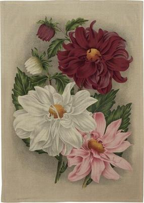 Virtuves dvielis Skona Ting Purple Dahlia, daudzkrāsaina, 70 cm x 50 cm