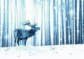 Fototapeet Artgeist Winter Animals - Deer Motif On A Forest Background In Shades Of Blue 5XLFT1870, 315 cm x 450 cm