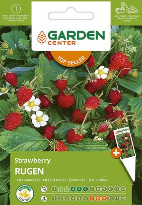 Sēklas Garden Center, meža zemenes Rugen, 0.1 g