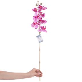 Dirbtinė gėlė, orchidėja AmeliaHome Faleni PLum, žalia sp./violetinė sp., 76 cm