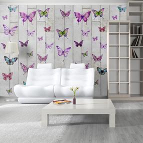 Tapetai Artgeist Butterflies And Concrete WSR10M665-P, 1000 cm x 50 cm