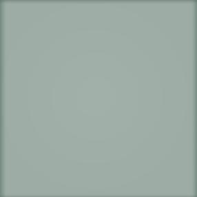 Plytelės, keraminės Tubadzin Pastel 2013 PS-01-136-0200-0200-1-082, 20 cm x 20 cm, pilka sp.