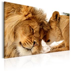 Репродукция Artgeist Love's Secret N6638PWD, 60 см x 40 см