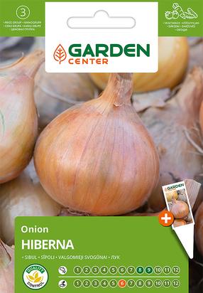 Sēklas Garden Center, sīpoli HIBERNA, 1 g