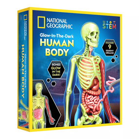 Тело человека National Geographic Glow In The Dark, многоцветный