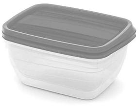 Dėžutė maistui Curver Vedo, 1.3 l, 18.5 cm x 13.5 cm, skaidri sp./pilka sp., 2 vnt.