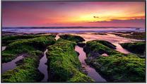 Monitorius Samsung QB65B, LED, 4K UHD, 65"