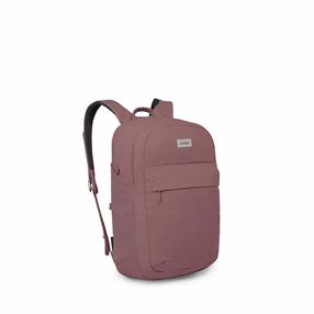 Seljakott Osprey Arcane XL Day, violetne v., 30 l