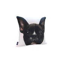 Dekoratyvinė pagalvėlė Comco Dog, įvairių spalvų, 45 cm x 45 cm