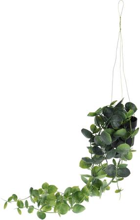 Mākslīgais augs podiņā, (krāsa/dizains tiek izvēlēts nejauši), 56 cm