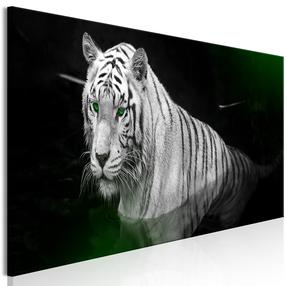 Reprodukcija Artgeist Shining Tiger, g-b-0133-b-c, 135 cm x 45 cm