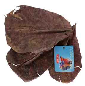Akvārija kopšanas līdzeklis Zolux Catappa Leaves, brūna krās.