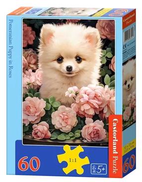 Dėlionė Castorland 60 el. Pomeranian Puppy In Roses 066261, 32 cm x 23 cm, 60 vnt., įvairių spalvų