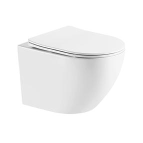 Unitazas, pakabinamas Laveo Desna CycleOn 2.0, su dangčiu, 360 mm x 490 mm