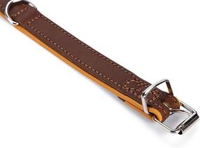 Antkaklis šunims Beeztees Rondo, ruda sp., 570 mm x 32 mm, 57 x 3.2 cm