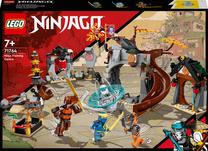 Konstruktorius LEGO® NINJAGO® Nindzių treniruočių centras 71764