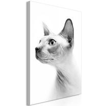 Reprodukcija Artgeist Hairless Cat N8345PWD, 40 cm x 60 cm