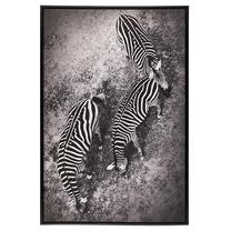 Paveikslas 4Living Zebras, 90 cm x 60 cm