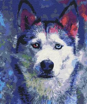 Glezna pēc numuriem Paint it! Husky Look, daudzkrāsaina
