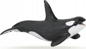 Žaislinė figūrėlė Papo Killer Whale 427498, 19 cm, balta sp./juoda sp.