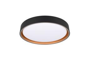 Šviestuvas lubų ir sienų RL Felis R64391080, LED, 2700 - 6500 °K, 1 x 24 W, balta sp. / aukso sp.