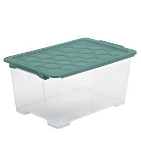 Kaanega hoiukarp Rotho, 44 l, läbipaistev v./roheline v., 58.3 x 39.2 x 27.7 cm