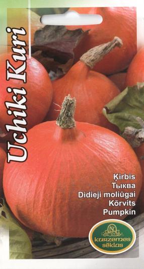 Sēklas Kurzemes sēklas, ķirbis Uchiki Kuri, 1 g
