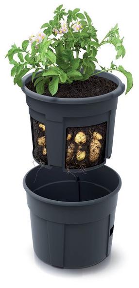 Puķu pods Keden IZIE300, plastmasa, Ø 29.5 cm, antracīta krās.