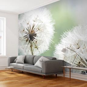 Fototapete Artgeist Two Dandelions XXLFTNT1375SAM, 231 cm x 294 cm