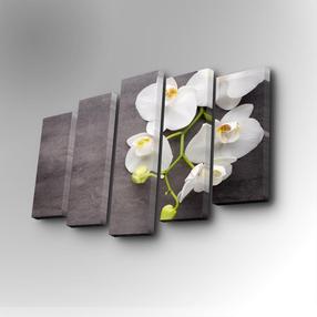 Reproduktsioon Wallity 5PUC-031, 82 cm x 50 cm