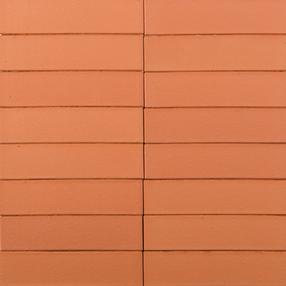 Клинкерный кирпич Terca FTT65, 25 см x 6.5 см x 8.5 см