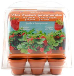 Комплект для выращивания растений Radis Et Capucine My First Greenhouse Strawberries, красный цв.