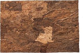 Terārija fons Terra Natura Virgin, 600 mm x 300 mm