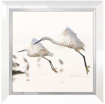 Foto paveikslas Heron, 63 cm x 63 cm