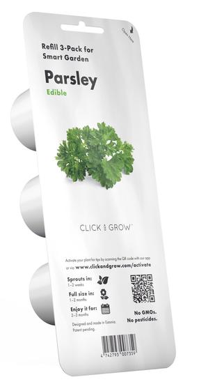 Išmanios daigyklos sėklos Click & Grow, petražolės, 3 vnt.