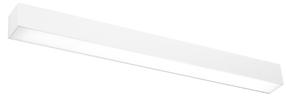 Šviestuvas lubų ir sienų Thoro Lighting Pinne 67 TH.035, LED, 3000 °K, 1 x 16 W, balta sp. / balta sp.